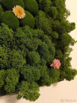 Originální obraz s vlastním textem - 2