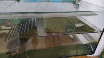 Želvárium/akvárium - 2