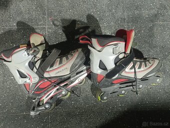 In line brusle 44 - 2