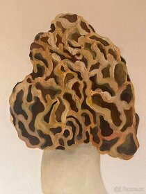 Obraz olejomalba na plátně houba, 50x40 cm - 2