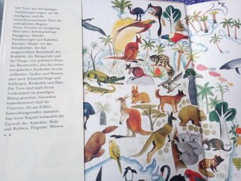 Tierwelt Australiens und der Antarktis - 2