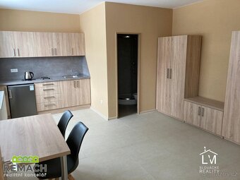 Pronájem, Byt 1+1, 32m2, Zlechov, ev.č. 03226 - 2