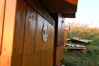 ÚL ČECHOSLOVÁK 37X30 - PRODÁM SADU - 2