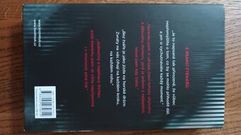 Rob Ashman: Bez tváře - 2