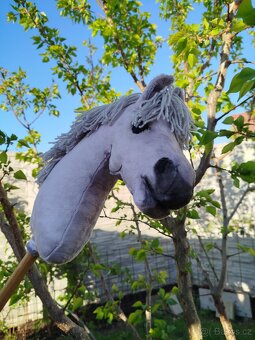 Hobby horse - 2
