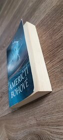 Neil Gaiman - Američtí Bohové - 2
