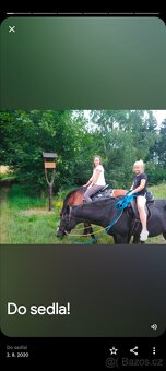 Slezská norička + ČT kobylka - 2