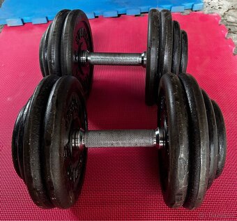 Profi činky 2x27,5kg - 2