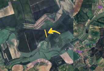 Prodej podílu 1/20 pole 290 m², Želetice - 2