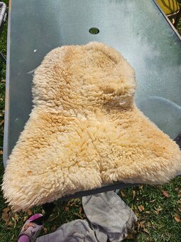 Beránek pod sedlo pony - 2