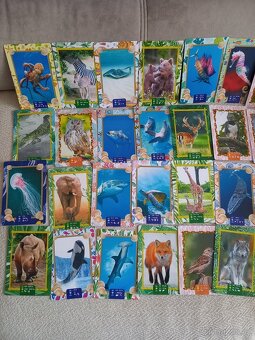 Sběratelské kartičky, zvířata - 2