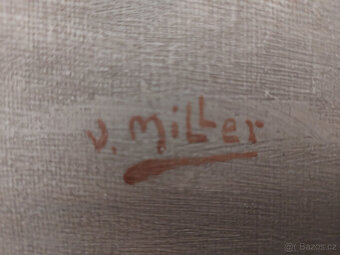 Obraz Zátiší s houbami - 2