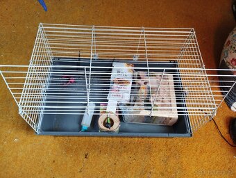 Klec pro morčata s příslušenstvím, 78x48x40 cm - 2