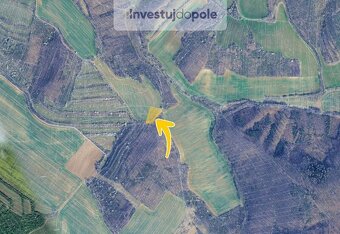 Prodej pole v k.ú. Kounické Předměstí - 2