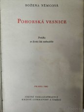 Němcová, Jirásek, Dva světy, Žena válečnho slepce. - 2
