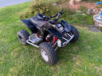 Access DRR 100 RACE - 2