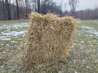 Seno - hranaté balíky - 2