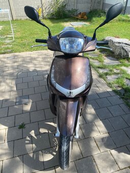 Peugeot Tweet 50 - 2