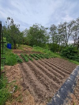 Prodej zahrady v LITOMĚŘICÍCH - 2