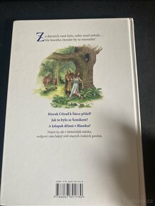 Dětská kniha Brunclík a lev - 2