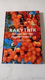 Začínáme včelařit, Rakytník, Smoothie bowls - 2