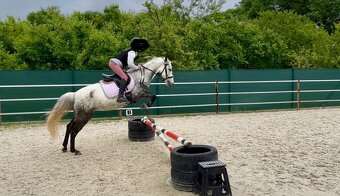 Pony klisna - 2