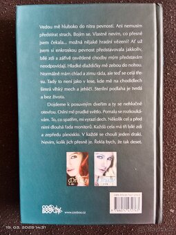 Fantasy kniha - Drakie - 2