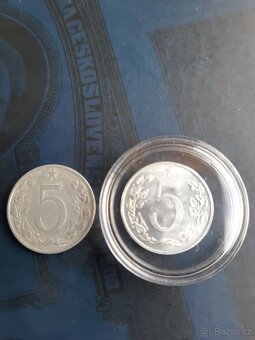 5 haliernik 1955 - 2