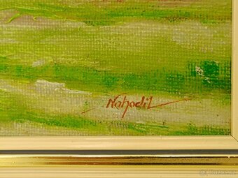 Obraz Nahodil, valašské chalupy, olej 47x55 - 2