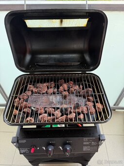 Plynový gril s lávovými kameny (Tepro Irvine, 5,4 KW) - 2