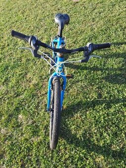 Core Nipper 24" - PĚKNÉ - 2