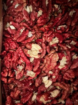 PRODÁM LETOŠNÍ LOUPANÉ VLAŠSKÉ OŘECHY - 2