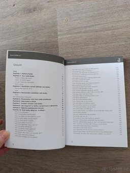 Kočičí bible - Michal Peterka - 2