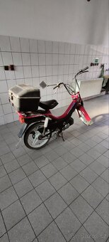 Manet Korado - 2