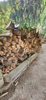 Tvrdé dřevo jasan - 2