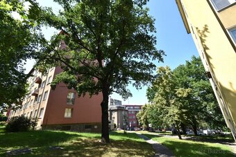 Pronájem bytu 2+kk, 36m2, Praha 3 Žižkov - 2
