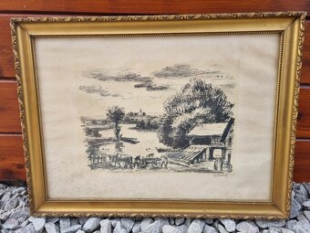 obrazy - různé - 2