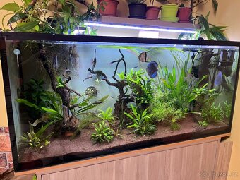 Akvárium komplet 450l - 2
