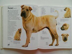 Velká kniha o psech - 2