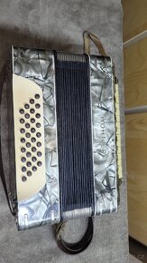 Tahaci Harmonika - 2