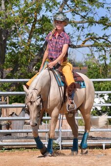 Nádherný PALOMINO 8mi letý valach AQHA - 2