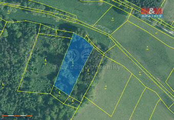 Prodej lesa, 3555 m², Kváskovice - 2