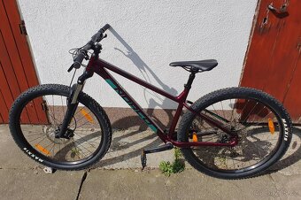 Norco Fluid HT 2 - 2