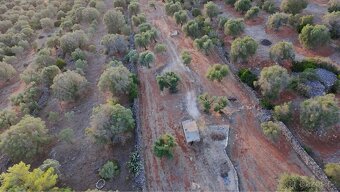 Pozemek 10.000m2 s možností stavět🇮🇹 - 2