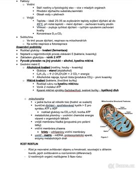 🧬 Biologie – kompletní maturitní otázky, přehledně zpracova - 2