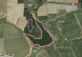 Prodej lesa, 13225 m², Borovany - 2