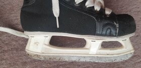 Brusle Botas, velikost na bruslich napsáno 20cm - 2
