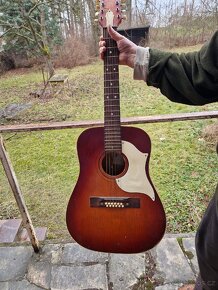 12 strunná kytara - 2