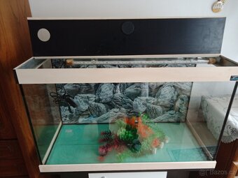Akvárium Diversa - 2