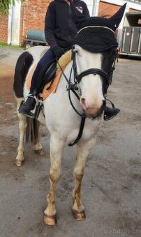 Pony KVH 132cm - 2